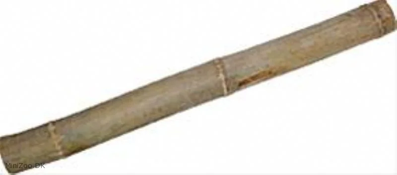 1 stk Gul bambus 100 cm Ø 4,5-5,5 cm